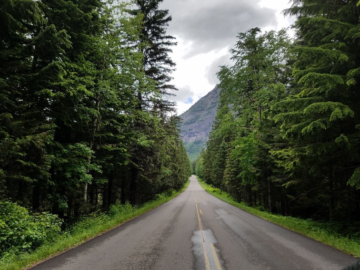 An empty road through tall forest toward the mountains of Glacier National Park