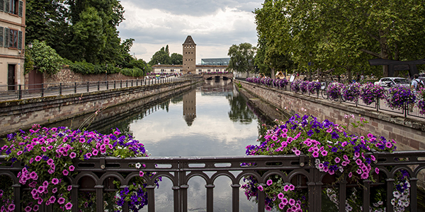 Day 3 Strasbourgh